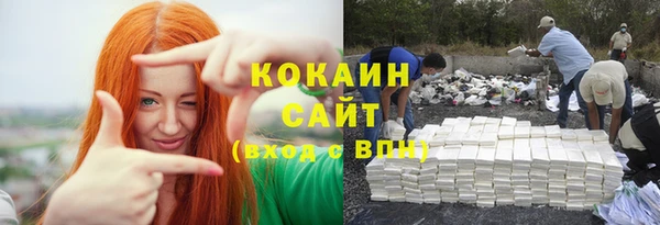 соль ск Абаза