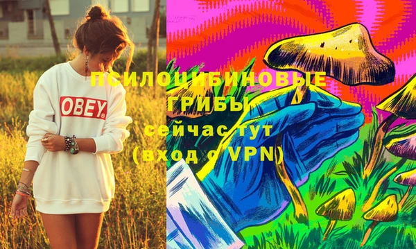молекула духа Абинск