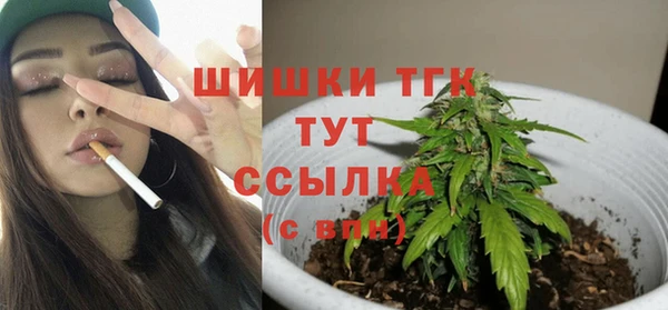 молекула духа Абинск