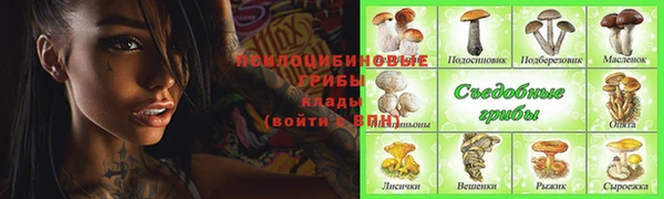 молекула духа Абинск