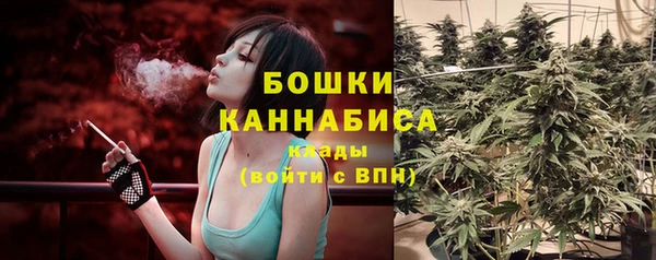 соль ск Абаза