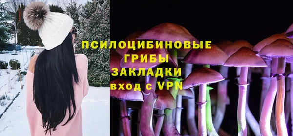 молекула духа Абинск