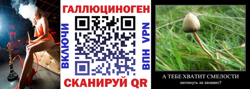 Псилоцибиновые грибы Cubensis  Новая Усмань 